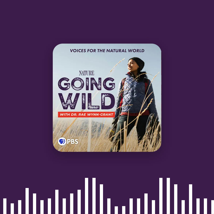 Going Wild with Dr. Rae Wynn-Grant