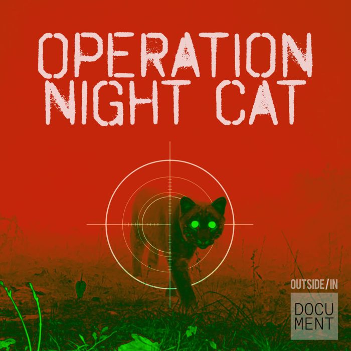 Operation Nightcat