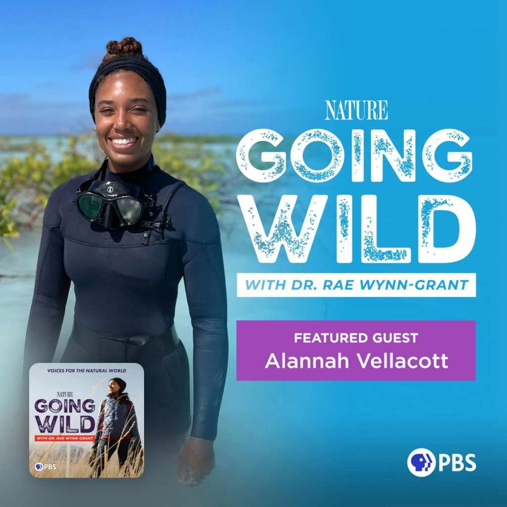 Going Wild with Dr. Rae Wynn-Grant